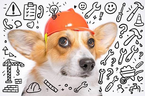 Corgi with hard hat surrounded by construction doodles for playful design