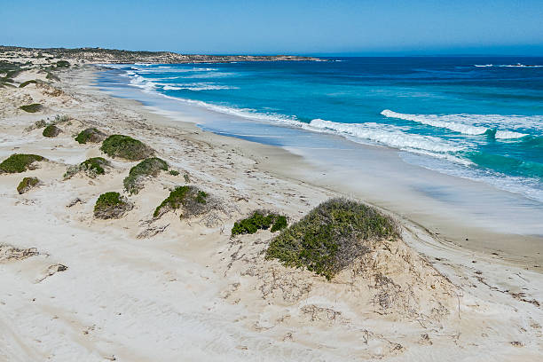 istock Elevated View Remote South Australian West Coast Beach, Dunes, Antarctic Ocean Waves 2240022091