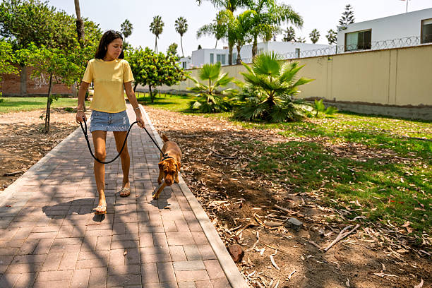 Young woman walking her dog on leash along a sunny paved park path, enjoying a relaxed summertime stroll and outdoor companionship