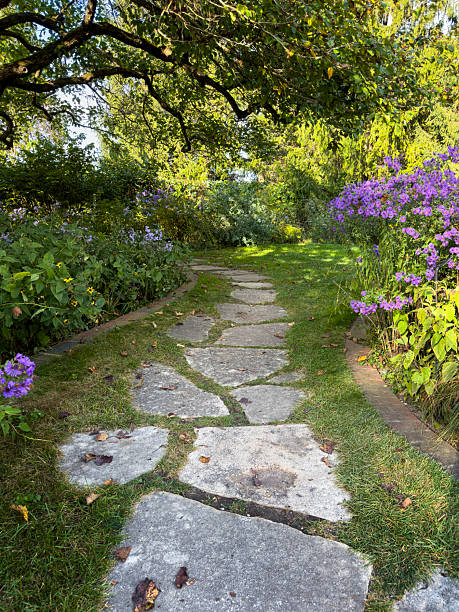 Stepping stones leading the way through a garden of native plants