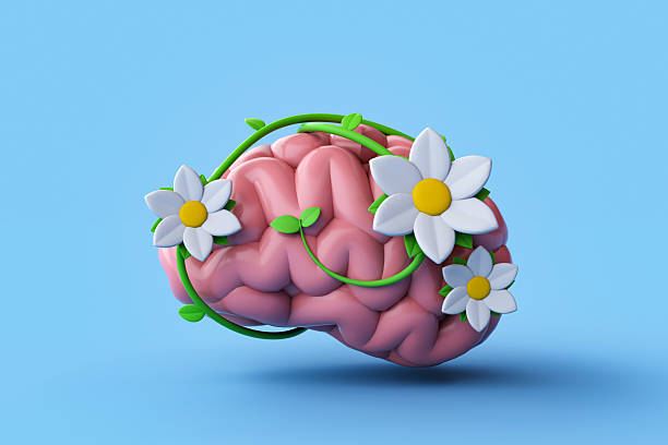 istock 3D Rendering of Human Brain with flowers. Positive Mind Concept. 2240024026