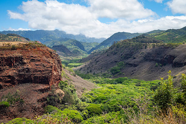 istock Waimea Canyon Vista 2240034914