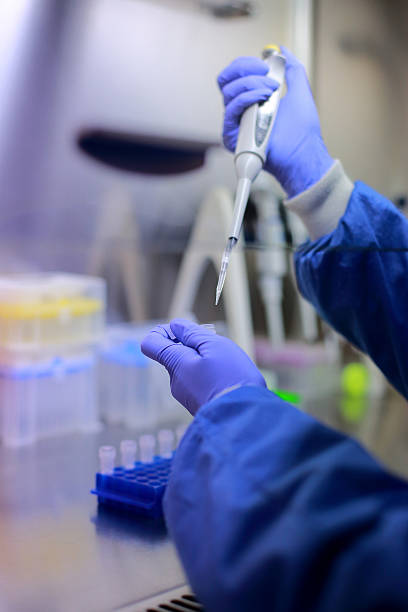 istock Close-up of scientist carefully pipettes laboratory samples 2240037234