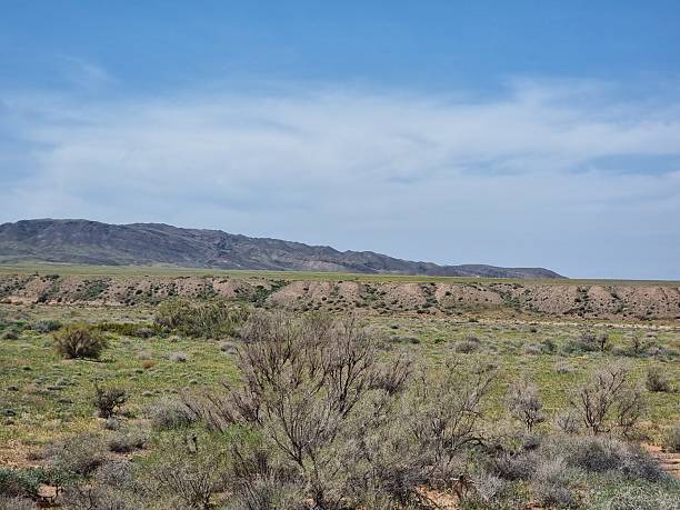 istock Beautiful Landscape With Mountains And Desert 2240041226