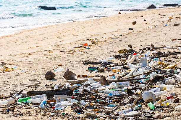 istock trash, plastic cups and plastic bags at the beach. environmental problem concept and healing the world 2240041566