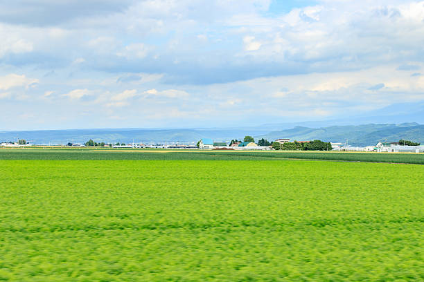 Japan Landscape