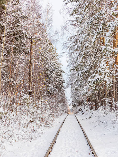 istock Old railway in winter forest. Railway in snow. Winter landscape with empty rail tracks 2240043240