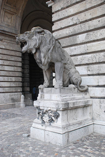 Budapest, Hungary-June 20, 2011: Lion statue in Old Town