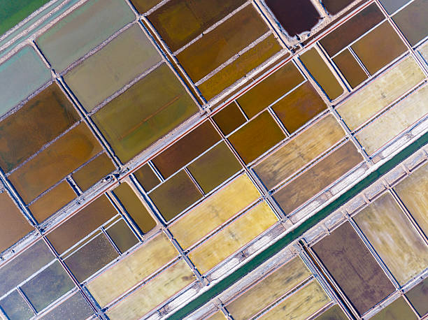 istock View of the salt field 2240054621