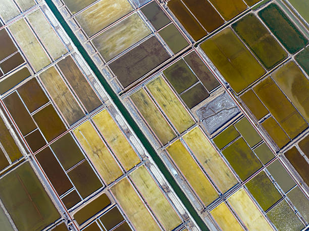 istock View of the salt field 2240054623