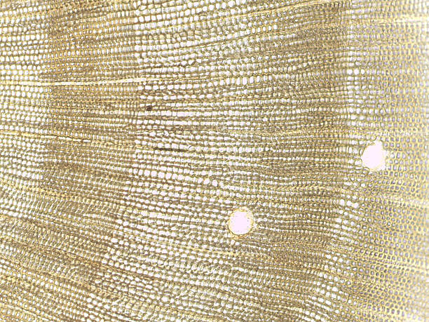istock Close-up of textured golden fabric 2240055427