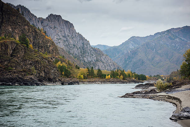istock Mountain river in turquoise, flowing between the mountains with autumn forest, on the background of cloudy sky. Bright alpine scenery with big mountain river and larch trees in gold autumn colors 2240056469