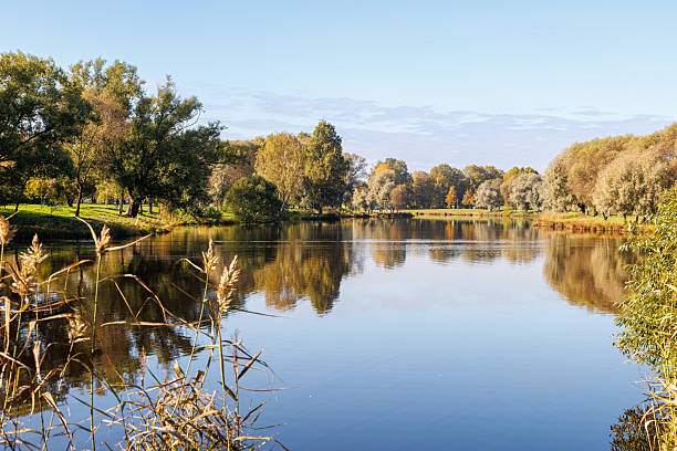 istock Beautiful calm river scene with trees and clear sky during a sunny day in autumn 2240056929