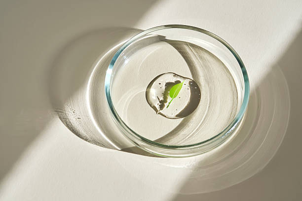 istock A delicious drop of serum with a leaf in a petri dish. 2240058471