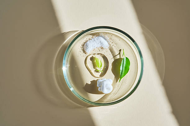 istock Various cosmetics in a petri dish on a beige background. 2240059105