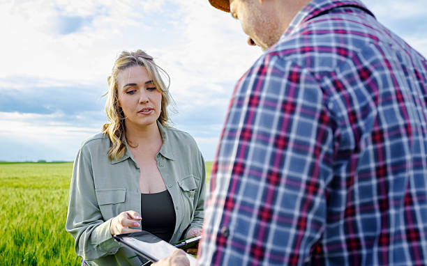 istock Two farmers standing in wheat field examining crop yield. 2240066435