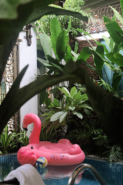 istock Relaxing at a Vietnamese House with Pool and Flamingo Float 2240070194