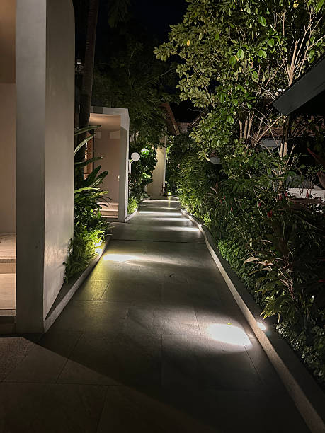 istock modern walkway at the garden night time 2240073037