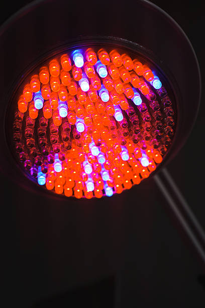 istock Bright red and blue phytolamp for indoor plant growth in a dark setting 2240076307