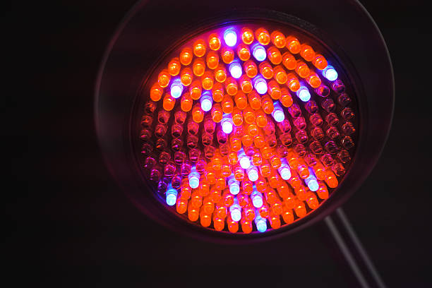 istock Bright phytolamp lights aimed at indoor plant growth in a home setting 2240076390