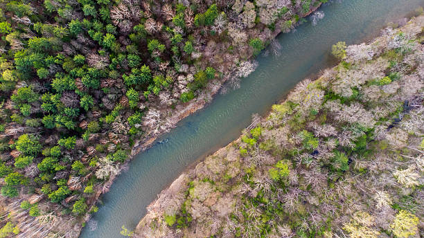 istock The Yelovaya river, top-down view 2240079180