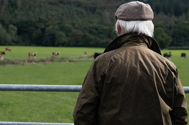 istock Senior man looking at livestock in a field 2240080326