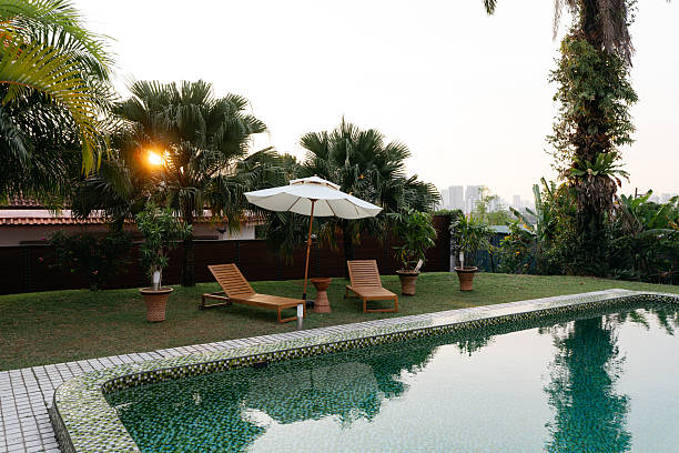 Reflection of coconut palm trees over swimming pool