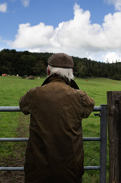 istock Senior farmer checking livestock in a field 2240080467