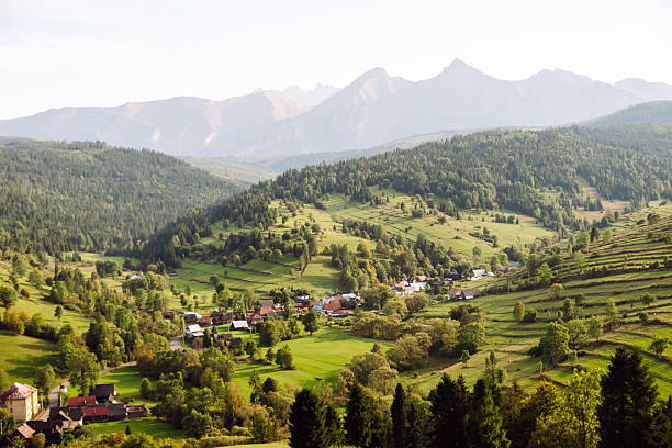 Rolling green hills stretch toward distant mountains in the rays of sunset. A peaceful landscape of lush mountain hills. Concept of view and nature.
