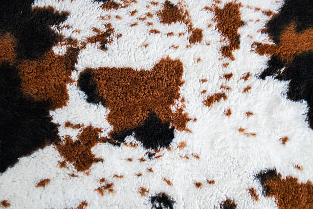 istock Artistic cowhide pattern rug home decor textile design cozy living room aesthetic view interior style 2240083048