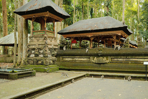 Monkeys exploring the sacred temples and sculptures inside the tropical forest of Ubud Monkey Forest in Bali, Indonesia