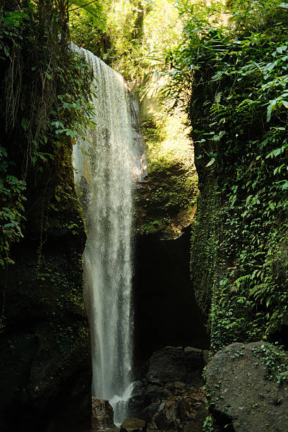 istock Tropical jungle waterfall cascading down mossy rock walls 2240084285