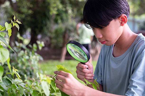 istock Asian boy outdoor  lifestyles 2240090594