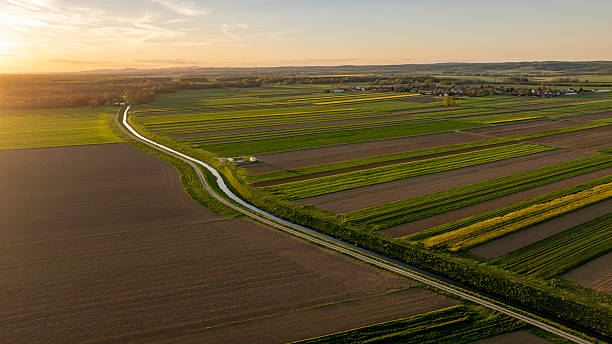 istock Golden Sunset Over Expansive Agricultural Fields with Winding Road 2240092827