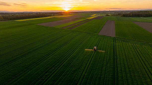 istock Tractor Fertilizing Vast Green Field at Golden Sunset 2240092834