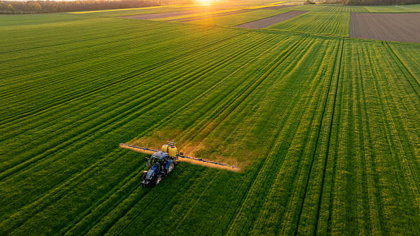 istock Tractor Fertilizing Lush Green Agricultural Field at Sunset 2240092852