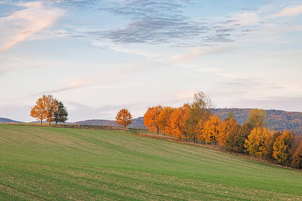 istock Autumn field landscape, featuring vibrant trees against a soft sky at dusk. A serene and picturesque scene of nature's beauty. Moravia region of Czech Republic, Europe. 2240093666