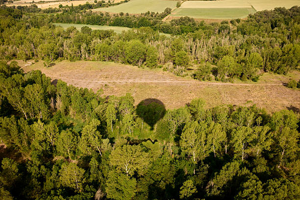 A hot air balloon is flying over a field of grass. The balloon is casting a shadow on the ground. The scene is peaceful and serene, with the hot air balloon providing a sense of adventure and freedom