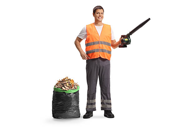 Man using leaf blower to clear golden autumn leaves from suburban lawn and paved driveway on a sunny fall day