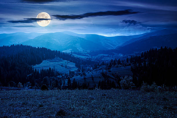 istock landscape with coniferous forest behind the meadow in autumn at night 2240097450