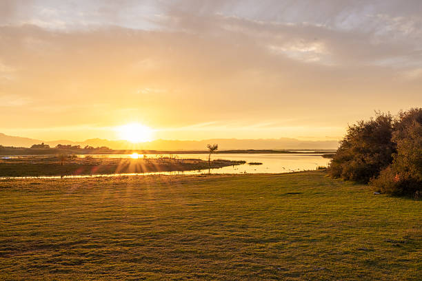 Warm golden sunset casting light over a calm lakeside with grassy foreground and distant mountains. Peaceful natural scene with reflective water and soft clouds. Tranquil outdoor environment.