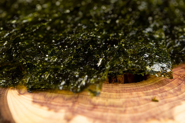 green algae, natural green algae that are used to prepare Japanese dishes close up, algae on a larch board