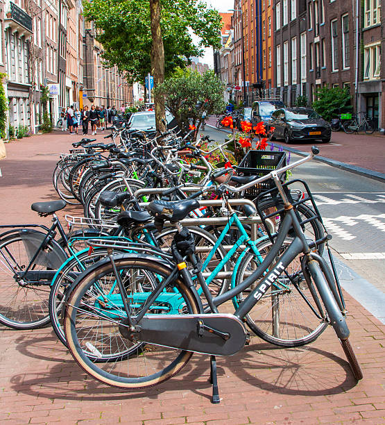 Amsterdam, Netherlands - 5 August 2025: Bicycles line the sidewalk of a vibrant Amsterdam street with flowers and trees.