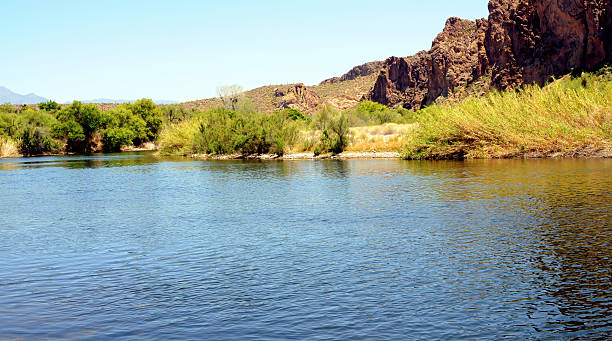 istock Salt River Recreation Area Arizona 2240110438