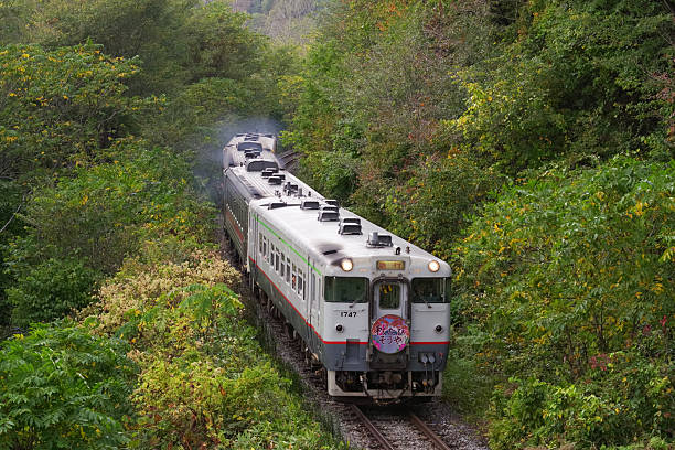 Nayoro-city, Hokkaido, Japan - October 5, 2025 : KIHA 40 and KIHA 54 Express train “Aki-Tabi Soya” running on the curve