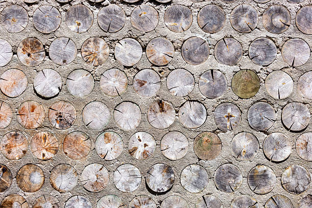 Wall made of logs and concrete