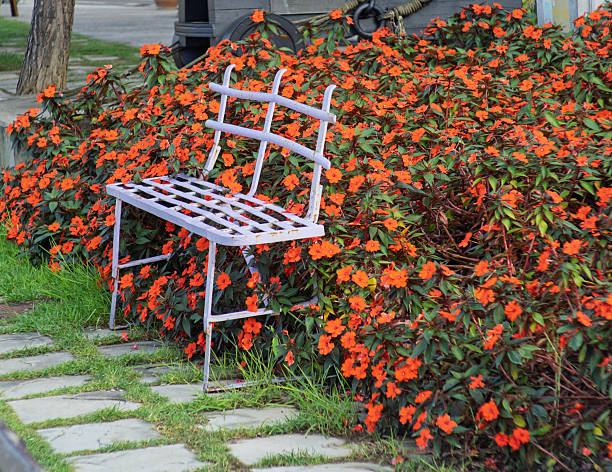 Flowers and plants in garden, public park in Mexico City