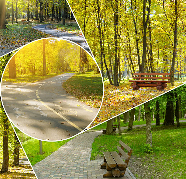 istock Collection of Public Park Scenes Featuring Benches and Bicycle Path 2240117366