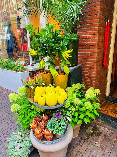 Flowers from the flower store