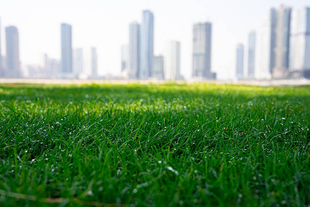 istock Green Lawn with City Skyline View 2240120938
